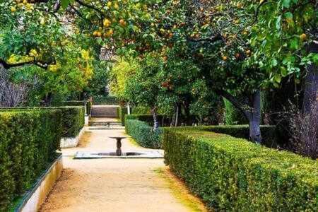 Gocce Villas - Skyline Sorrento Views In The Heart Of Sorrent Exterior foto